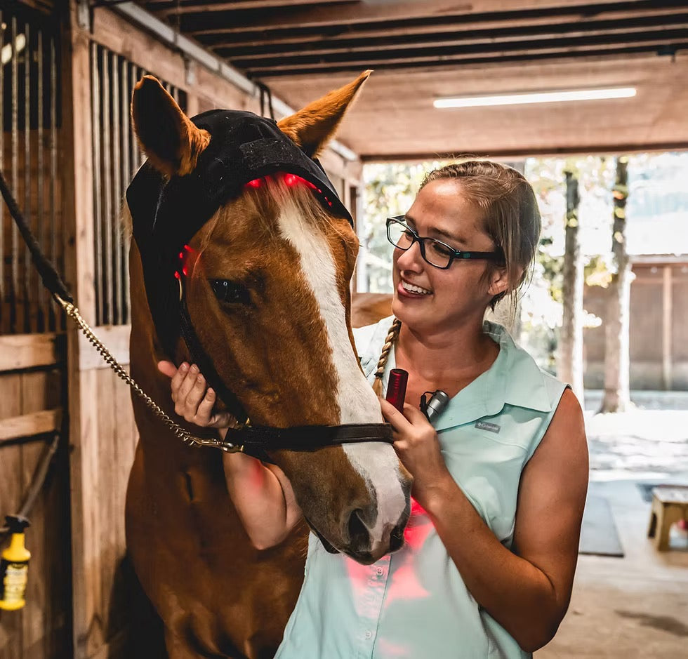 The Science Behind Equine Red Light Therapy: Why More Horse Owners Are Adding It to Their Recovery Routine