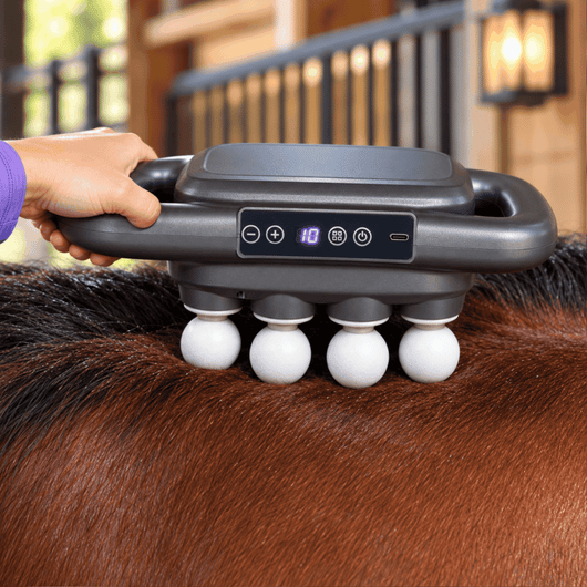 Red Light Massager